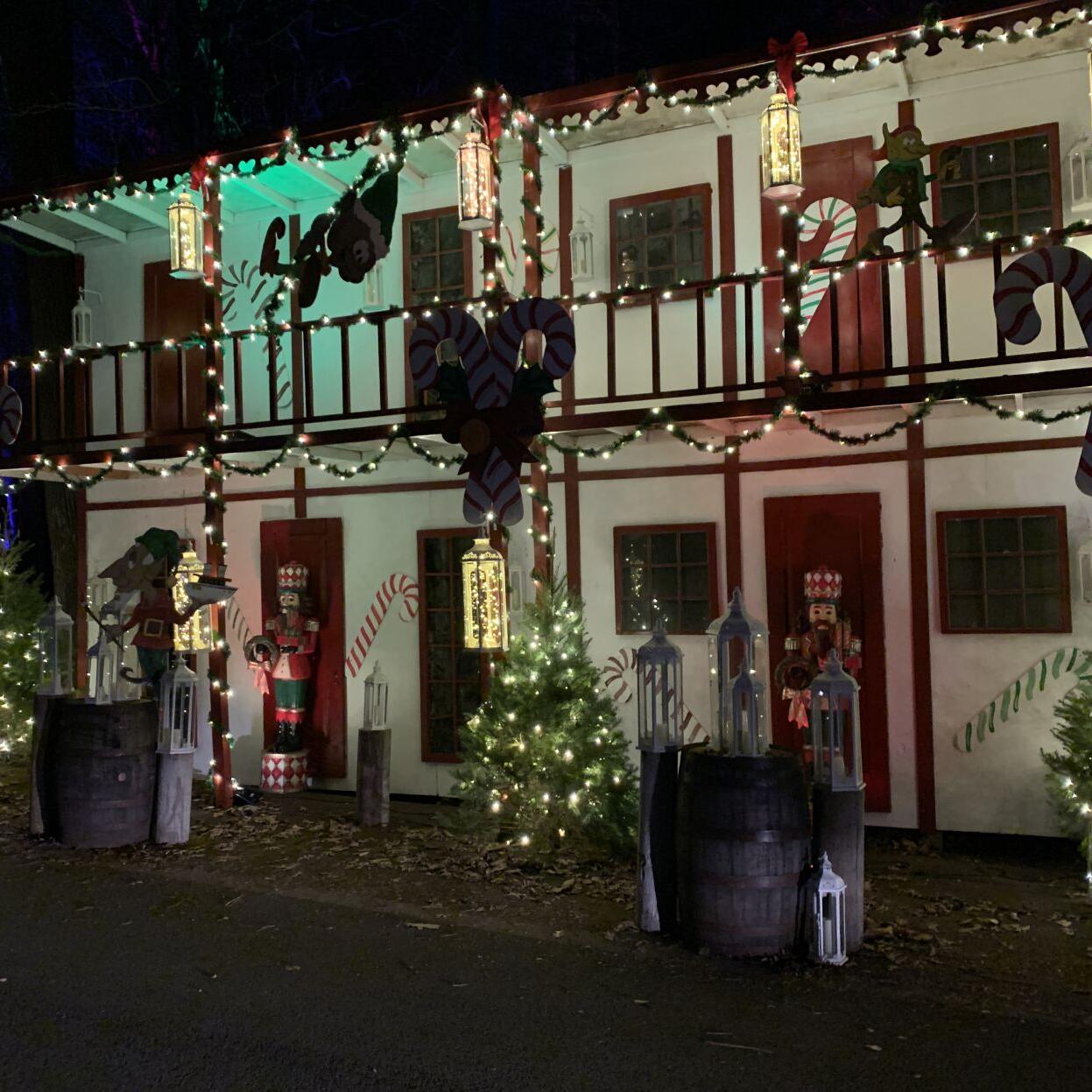 Winter Woods Spectacular (7).JPG